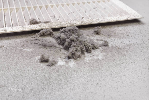 Best Affordable Air Duct Cleaning  in Calhoun, GA